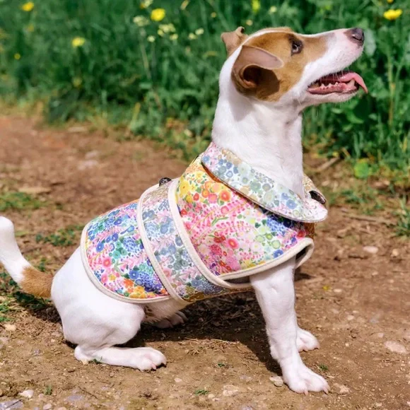 Kurt Geiger Limited Edition Dog Coat - Picture 1 of 6